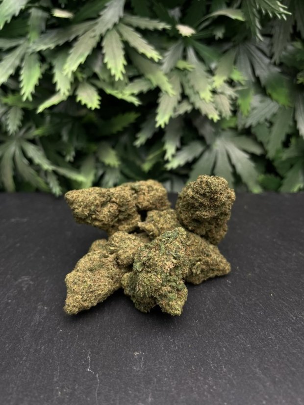 Květy THC-X – více strainů