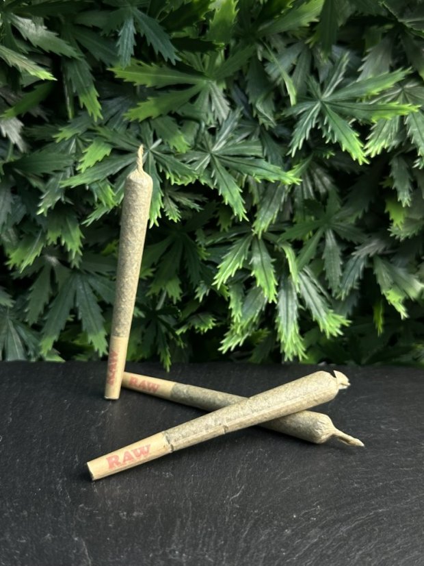 Preroll THC-X – 1g