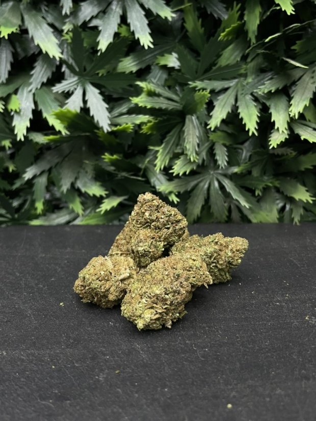 Květy THC-X – více strainů