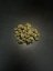 CBD Flowers - Amnesia Haze 23% CBD (Small Buds)