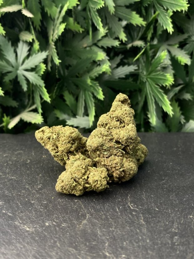 CBD Květy Candy Kush – 16% - Velikost Balení: 10g
