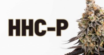 HHC-P: Silný kanabinoid, silnější než HHC