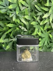 Dóza s LED Světlem a Lupou Smokus Focus Comet