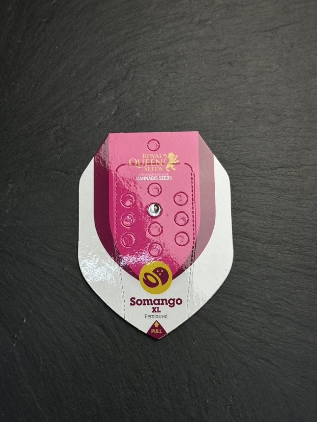 Semínka Royal Queen Seeds Somango XL Feminized - Počet kusů: 1ks