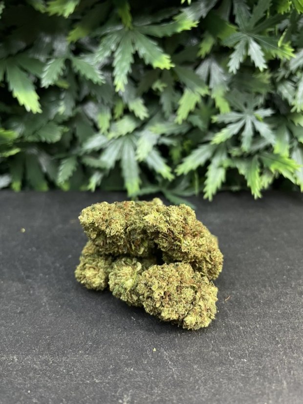 Květy THC-X – více strainů
