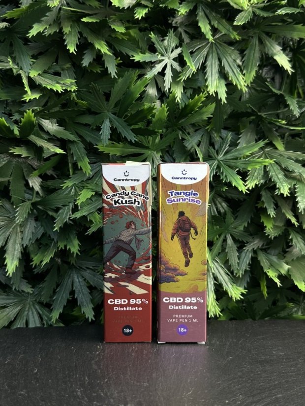 Jednorázový CBD Vape Canntropy – 95%, 1ml