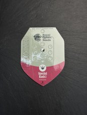 Semínka Royal Queen Seeds Special Kush #1 Feminized