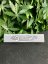 Papírky Smoking King Size Premium - Druh: Red