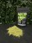 Kratom Nano Premium - Green - Velikost Balení: 100g