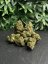 Květy THC-X – více strainů