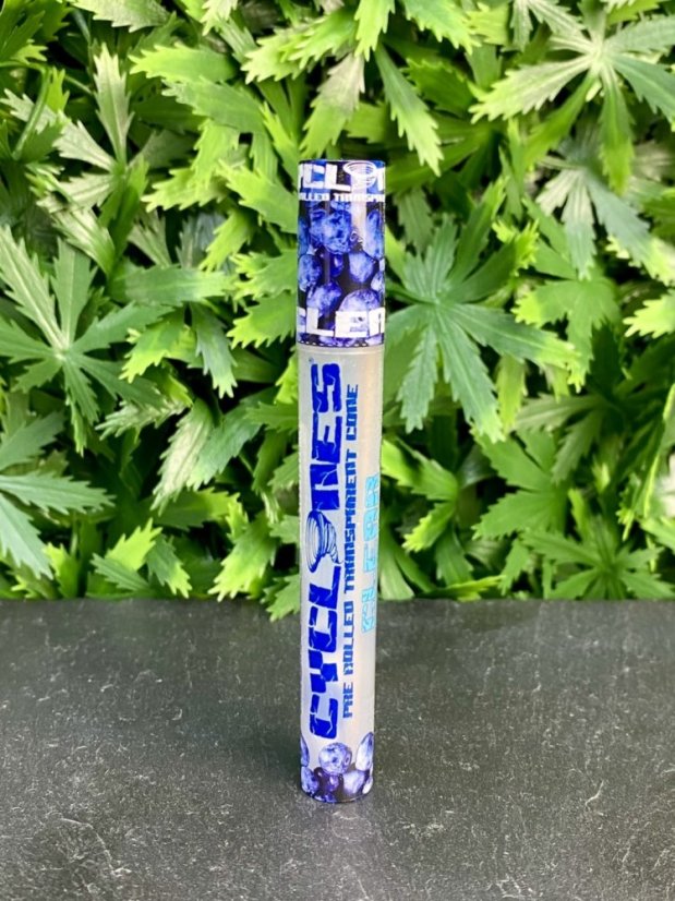 Cyclones Clear Preroll