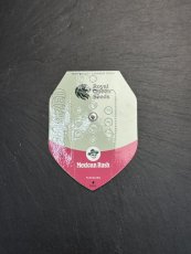 Semínka Royal Queen Seeds Mexican Rush Auto