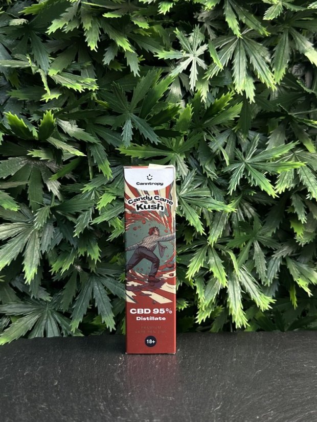 Jednorázový CBD Vape Canntropy – 95%, 1ml