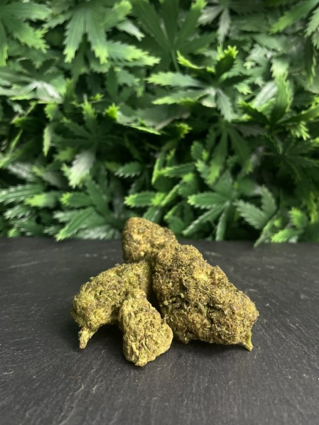 10-OH-HHC Flowers - Tropicana Punch 20%