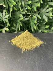 Kratom Nano Premium - Gold