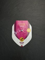 Semínka Royal Queen Seeds Honey Cream FF
