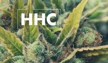 Porozumění HHC (Hexahydrokanabinolu): Vše co potřebujete vědět o HHC
