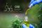CBD konopí: Co to je a jaký má vliv na zdraví?