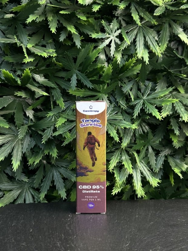 Jednorázový CBD Vape Canntropy – 95%, 1ml