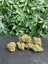 CBD Květy Sugar Queen – 17% - Velikost Balení: 1g