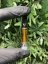 Cartridge THC-X – 1ml
